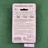 Sakarat, Goblin Wizard - 03838 - Dark Heaven Legends - Reaper Miniatures