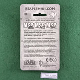 Christina the Devout - 02123 - Dark Heaven Legends - Reaper Miniatures