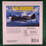 P-40 Warhawk in World War II Color - Jeffrey L. Ethell - softcover