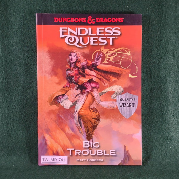 Big Trouble - D&D Endless Quest - Softcover