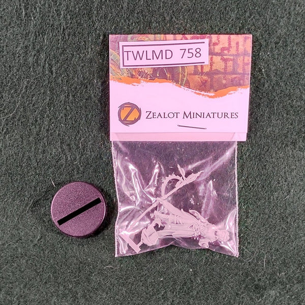Ebess, Human Wizard - ZM3240 - Zealot Miniatures - Excellent