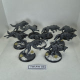 Fenrisian Wolves - Games Workshop - Good