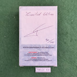 New Player: Moonfairy01 (Limited Edition) - Graphigaut Studio - 75mm