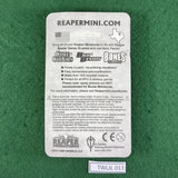 Male Antipaladin - 77300 - Bones Classic - Reaper Miniatures