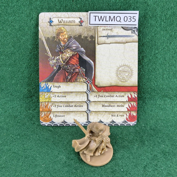 William - Zombicide Black Plague - CMON - Good (NO  BOX)