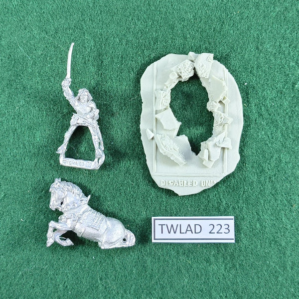 Commemorative Richard III - WR36 - Perry Miniatures - 28mm