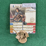 Gowan - Zombicide Black Plague - CMON - Good (NO  BOX)