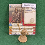 Dr. Stormcrow - Zombicide Black Plague - CMON - Good (NO  BOX)