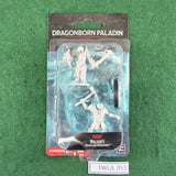 Dragonborn Paladin - 90057 - Nolzur's Marvelous Miniatures - Sealed