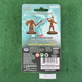 Dragonborn Paladin - 90057 - Nolzur's Marvelous Miniatures - Sealed