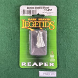 Anirion, Wood Elf Wizard - 03491 - Dark Heaven Legends - Reaper Miniatures