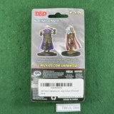 Human Ranger & Moon Elf Sorcerer - Nolzur's Marvelous Miniatures - Sealed