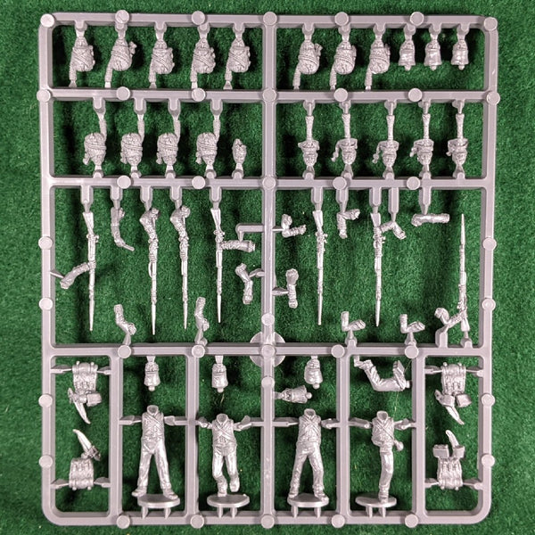 Napoleonic Duchy of Warsaw Elite Company Infantry - 1 sprue - 4 figs Perry Mins