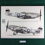 North American P-51D/ K Mustang and Cavalier F-51D Conversion - Pawel Matysiak -Kagero Publishing