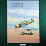 Italian Aircraft of World War II - Nico Sgarlato - Squadron/Signal 6022
