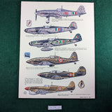 Regia Aeronautica - Pictorial History of the Aeronautica Nazionale Repubblicana & Italian Co-belligerent Air Force 1943-45 Vol. 2 - D'Amico & Valentini - Squadron/Signal 6044