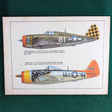 Thunderbolt in Action - Aircraft Number 18 - Squadron / Signal Publications - Softcover