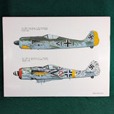 Focke Wulf Fw 190 In Action - Aircraft Number 19 - Squadron / Signal Publications - Softcover