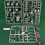 Grave Guard - Soulblight Gravelords - Warhammer Age of Sigmar - 5 figures - New on Sprue