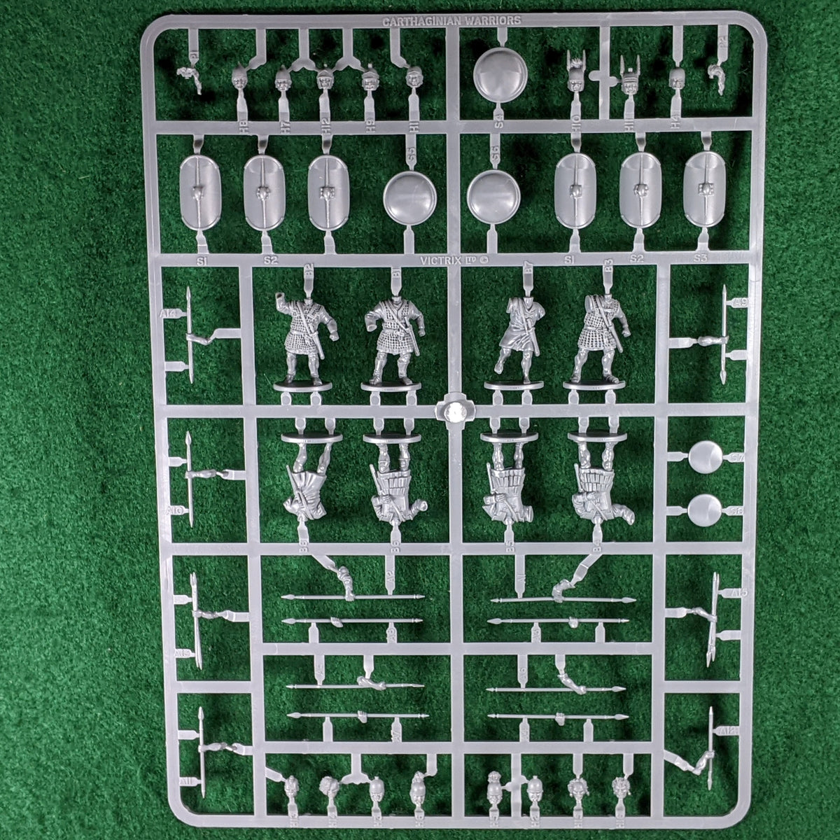 Warriors of Carthage Sprue - 8 figures - Victrix – The War Library